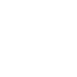 LogoFeynlab